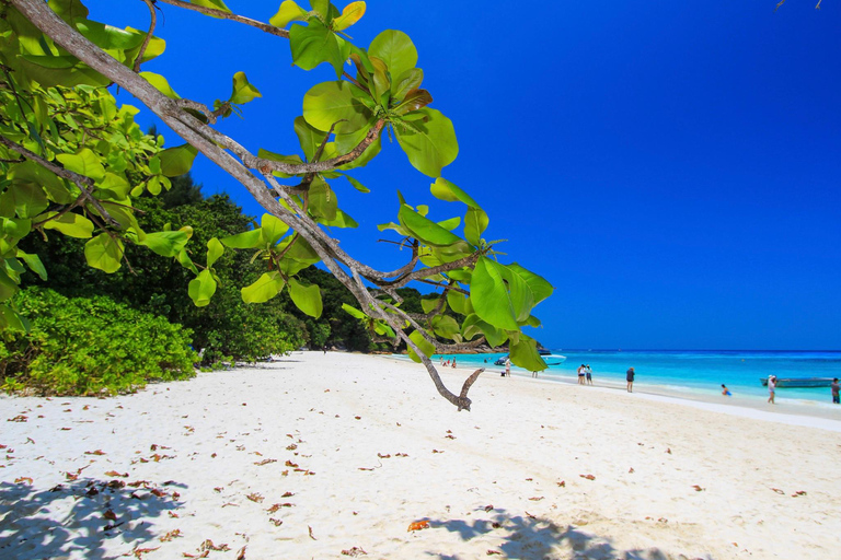 Phuket/Khaolak: Similan Islands Speed Catamaran Premium Trip