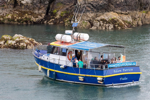 Dublin : Tour en bateau du phare et des falaises de HowthDublin : Les falaises de Howth et le tour en bateau de la côte de l&#039;œil de l&#039;Irlande