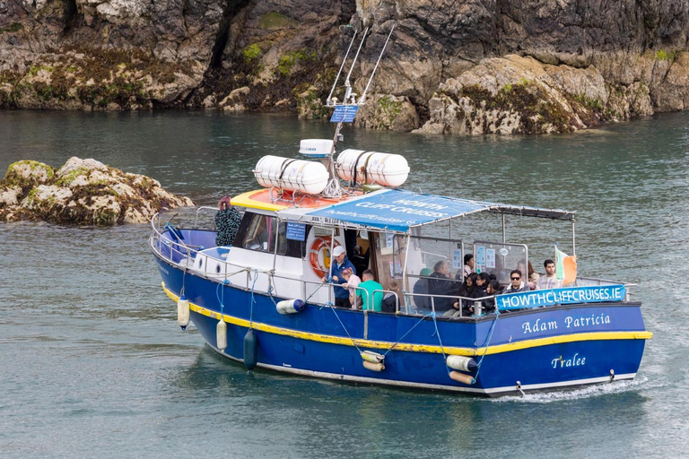 Dublín: Tour en barco por el faro y los acantilados de HowthDublín: Tour en barco por los acantilados de Howth y la costa del Ojo de Irlanda