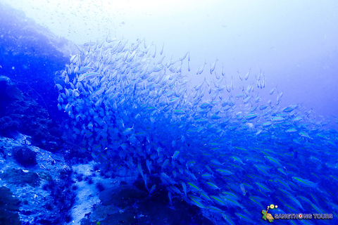 Koh Tao: Excursão de um dia com mergulho com snorkel nas ilhas e almoçoKoh Tao: Ilhas Snorkeling Destaques Day Tour &amp; Almoço