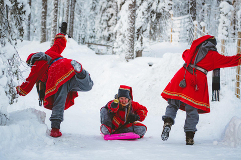 Levi：Arcandia，精灵法庭/日光和公园/黑暗精灵法庭：3 小时体验和公园之旅