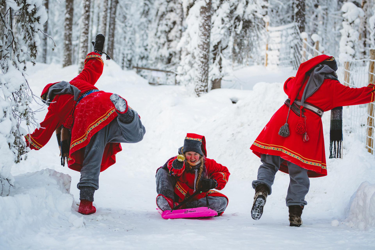 Levi：Arcandia，精灵法庭/日光和公园/黑暗精灵法庭：3 小时体验和公园之旅