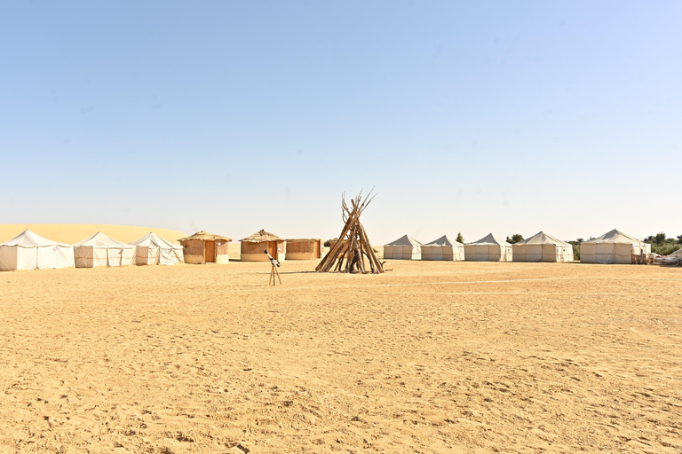 Desde El Cairo: safari desierto 4x4, sandsurf, paseo camelloTour compartido con almuerzo