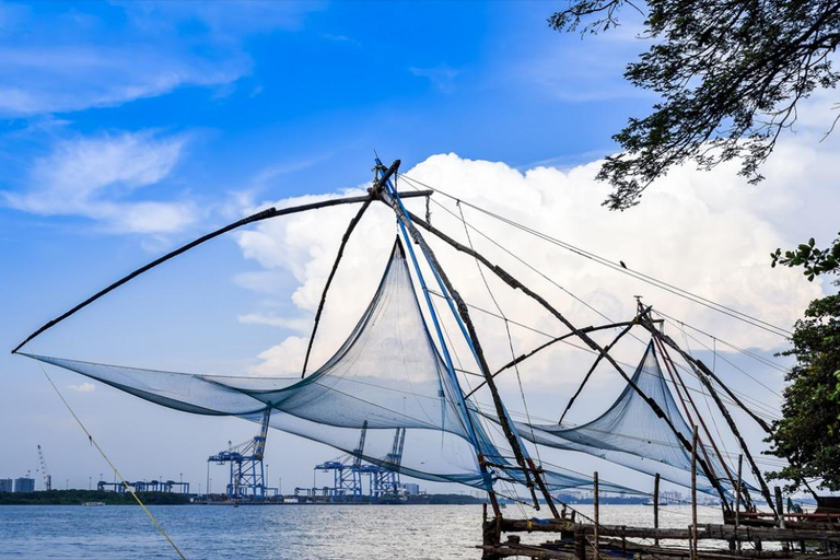 Chennai: 8-Day Fully Guided Tour of South India