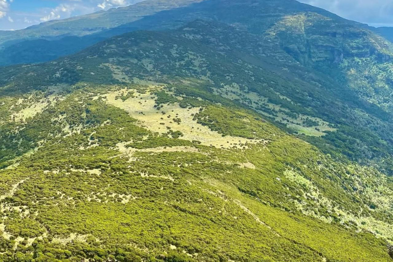 Nairobi: Double Summit Aberdares Day Hike