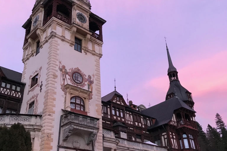 De Brasov: visite des châteaux et de ses environsOption standard