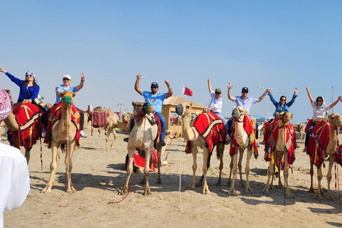 DOHA : Safari dans le désert avec balade à dos de chameau, planche de sable et visite de souks