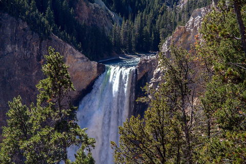 6 Días - El Salvaje Oeste de Yellowstone