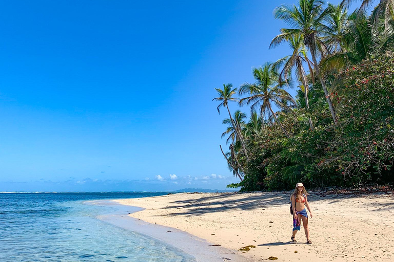 Cahuita National Park+Bribri Chocolate Tour+Waterfalls Tour+Lunch