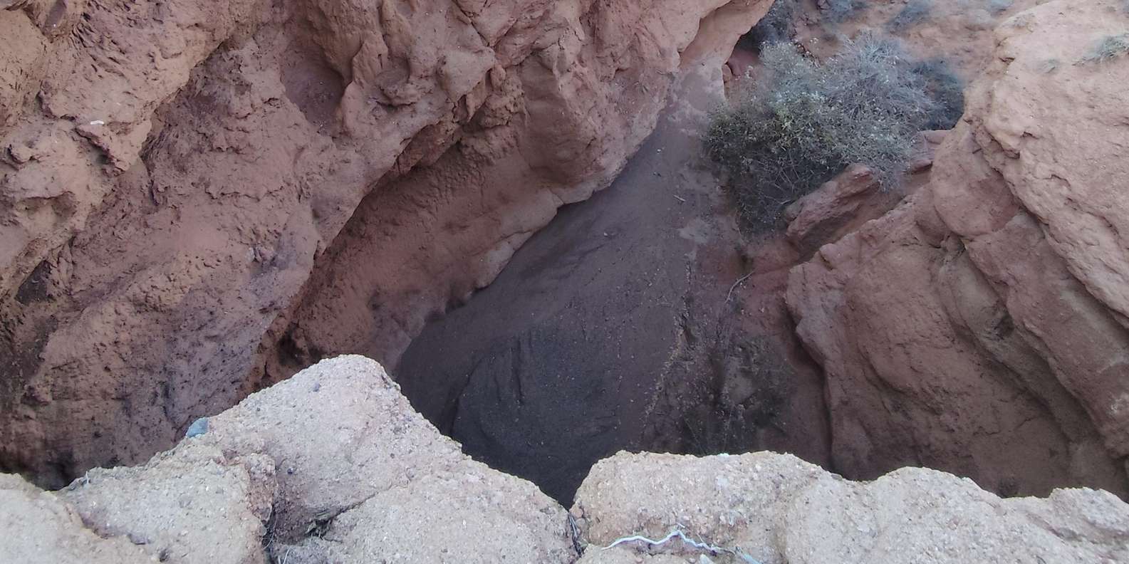 section