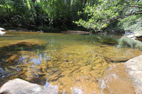 辛哈拉加雨林之旅