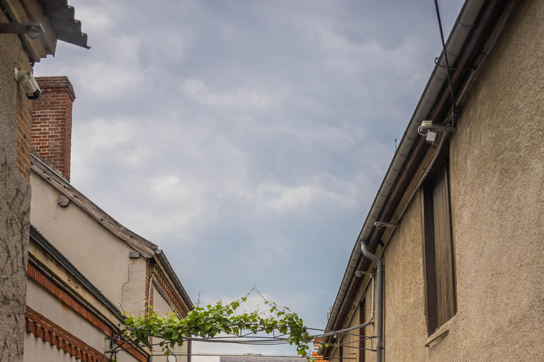 From the vines to the Champagne glass with a vintage car The heart of the Champagne region