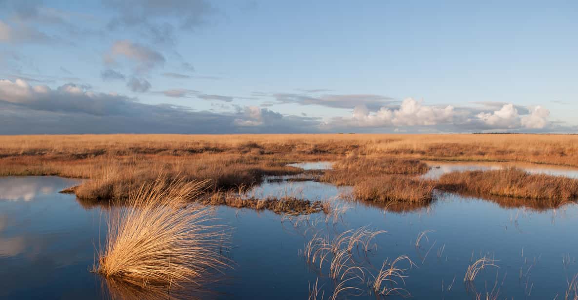Afbeelding 4 van Otterlo: Toegangsbewijs Nationaal Park De Hoge Veluwe