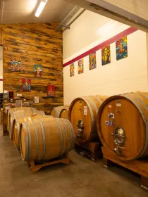 Predappio: Weinverkostung und Weinbergstour