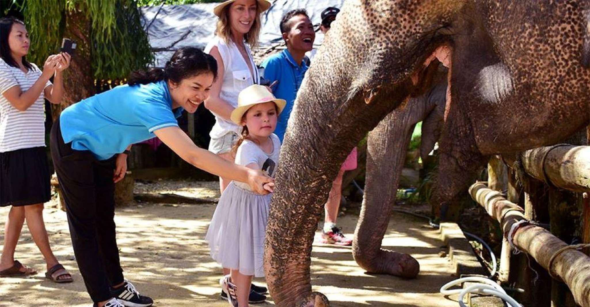 Khao Lak, Elephant Sanctuary Guided Tour - Housity