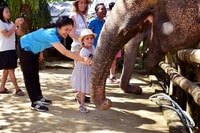 Khao Lak, olifant heiligdom geleide tour - Housity