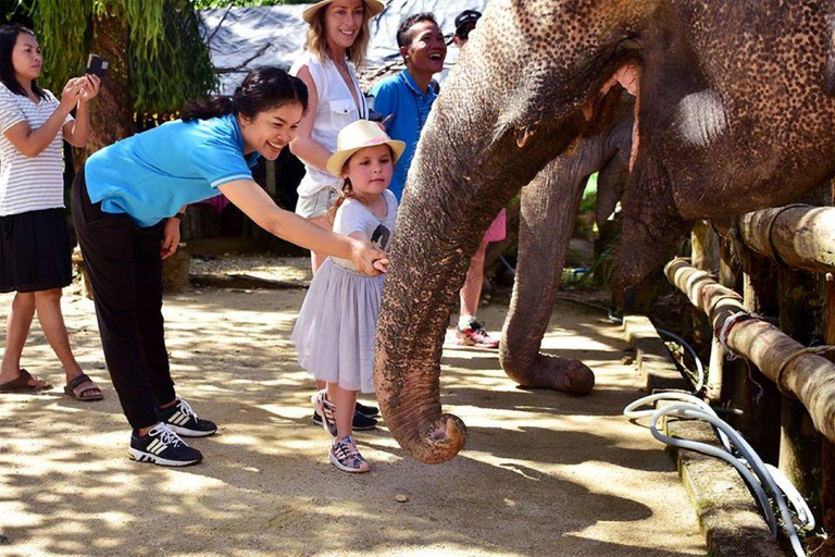 Interacción con el Elefante Khaolak Medio Día