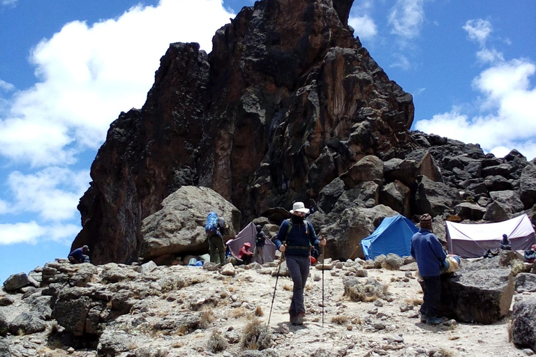 7 giorni di arrampicata di lusso sulla via lemosho del kilimanjaro