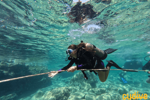 Paphos: excursion d'une demi-journée de plongée sous-marine en MéditerranéePaphos: excursion d'une demi-journée à la découverte de la plongée sous-marine en Méditerranée