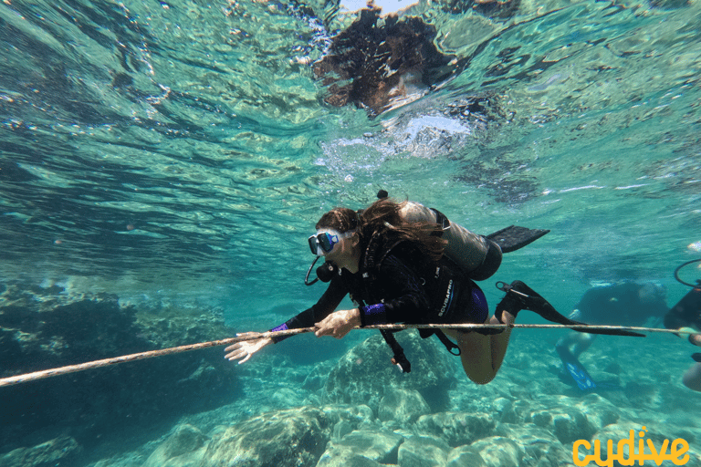 Paphos: Excursão de meio dia para descobrir o mergulho autônomo