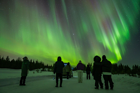Rovaniemi: Aurora Hunting with 100% Refund. Small Group. Rovaniemi: Aurora Treasure Expedition & Refund (Standard)