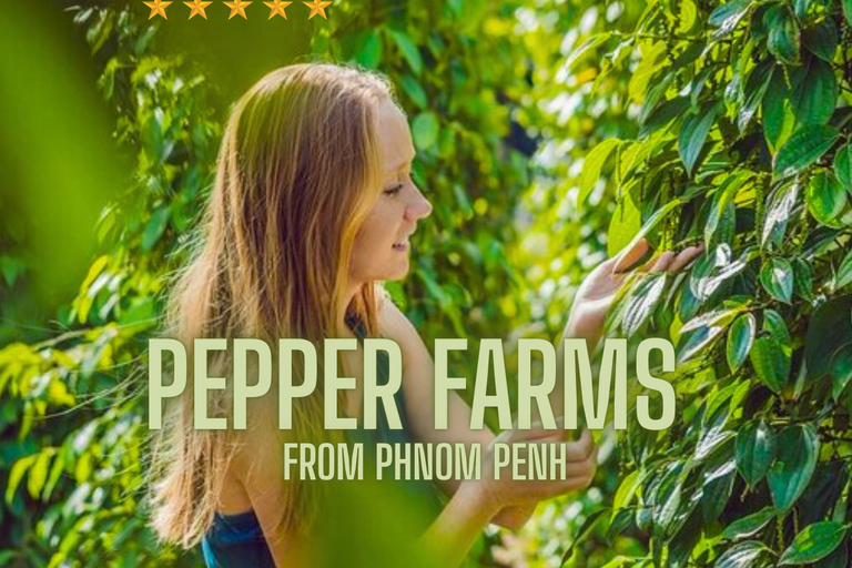 Phnom Penh: Kampot and Kep Day Trip with Lunch