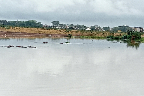 Park Narodowy Lake Nakuru z Nairobi