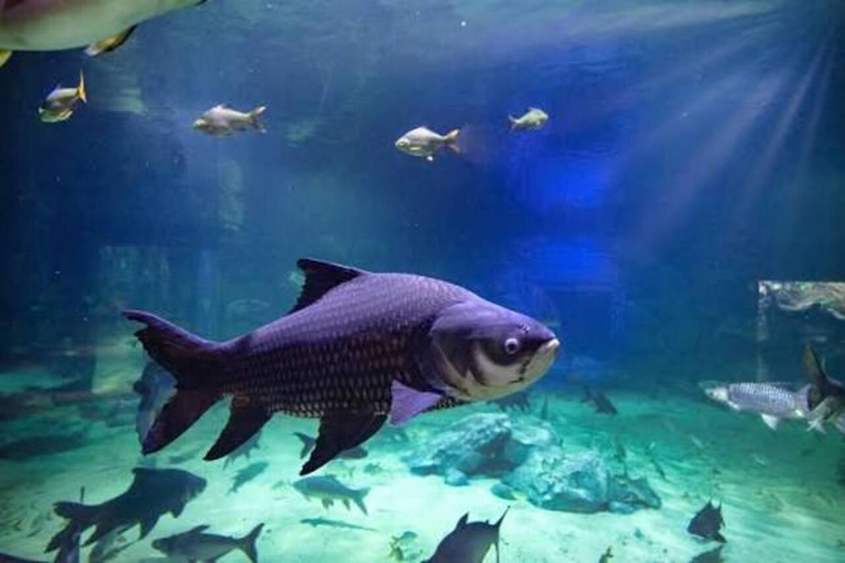Angkor Wildlife & Aquarium Private Round-Trip Transfer Private Round-Trip Transfer by Tuk Tuk