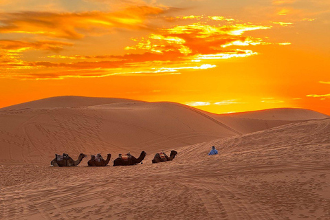 Embárcate en una Aventura Inolvidable de Fez a Marrakech