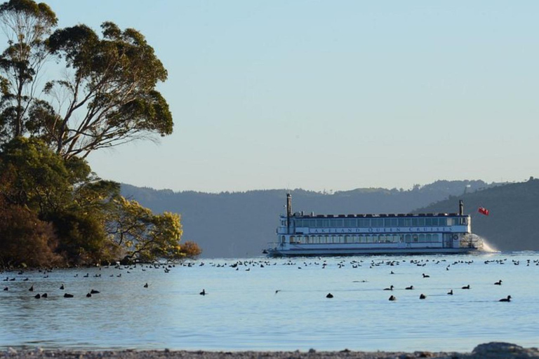 Rotorua: Lake Rotorua Cruise with Buffet Dining Option Dinner Cruise
