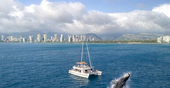 Oahu: Waikiki Whale Watching Cruise