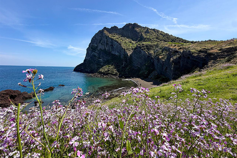 Jeju: UNESCO WestSouth & East Highlights 2 Days Combo Tour