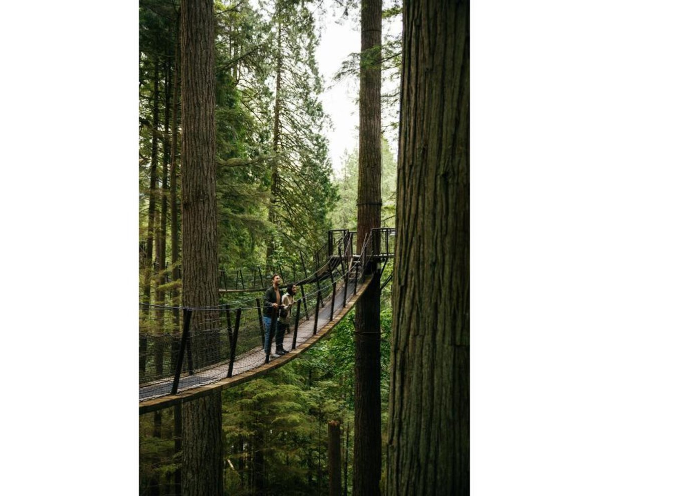 Vancouver: Capilano Suspension Bridge Park billet