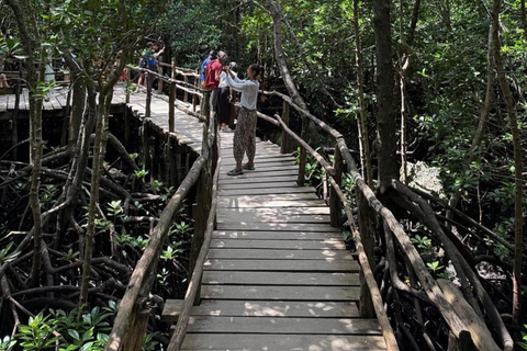 Zanzibar: la foresta di Jozani, le tartarughe marine, la grotta di Kuza e The RockTour senza servizio di prelievo e rientro in hotel