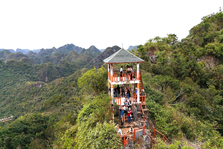 Half Day Hiking to Cat Ba National Park with a Guide