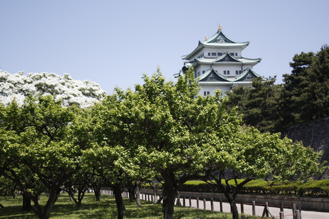 Nagoya: Samurai Castle Tour and meal with Geisha show