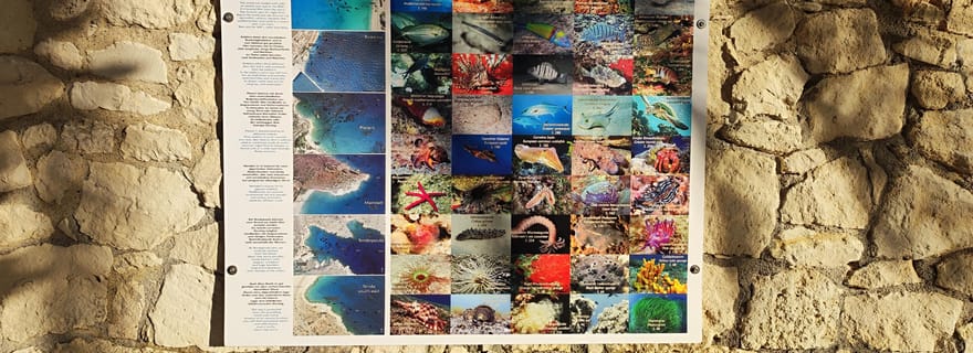 Crète : baptême de plongée en mer pour débutants, équipement de location inclus