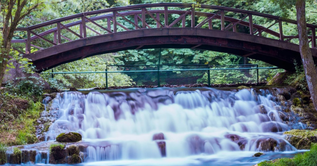 BIJAMBARE AND SPRING OF THE BOSNA RIVER TOUR | GetYourGuide