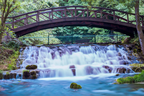 BIJAMBARE UND QUELLE DES BOSNA FLUSSES TOUR