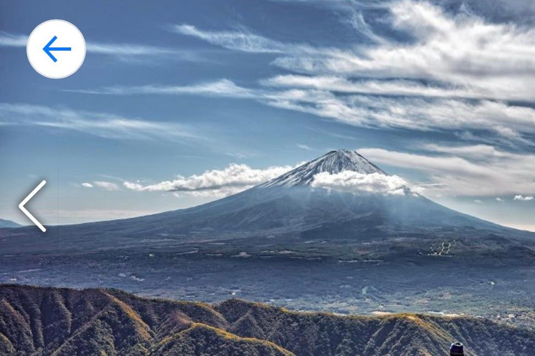 Från Tokyo: Privat resa till Fuji-berget och Kawaguchi-sjön