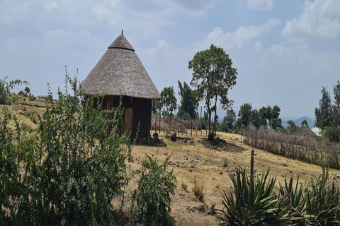 From Addis Ababa: Melka Kunture, Adadi Mariam & Tiya Tour
