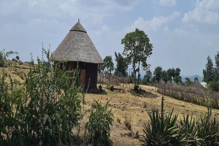 From Addis Ababa: Melka Kunture, Adadi Mariam & Tiya Tour
