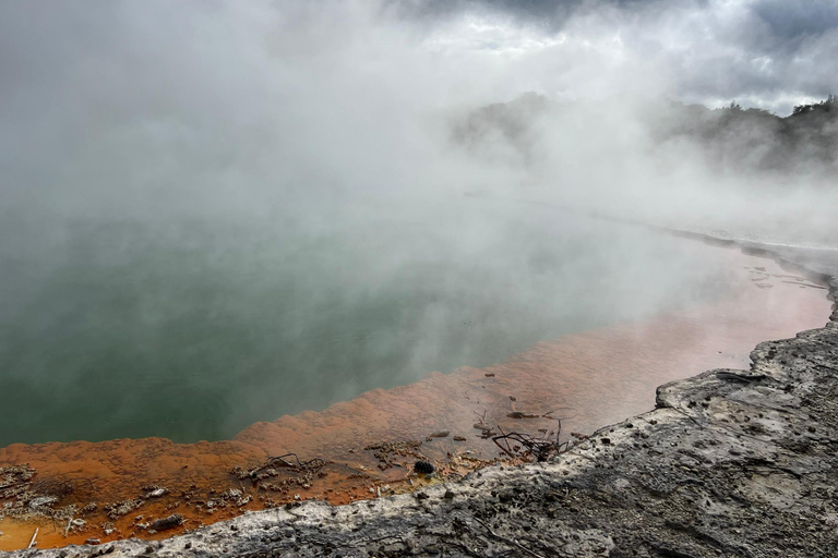 Von Rotorua WAI-O-TAPU + Lady Knox Geysir + Mud Pool Combo