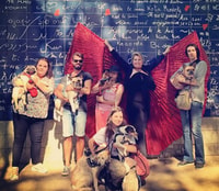 Toutoutours Montmartre Enchanté, come with your dog ! - Housity