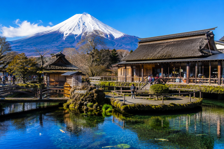 Fuji & Hakone Private Car Tour with Bullet Train Return