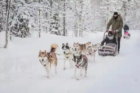 Levi Troll del bosque - Safari de dos días con huskies
