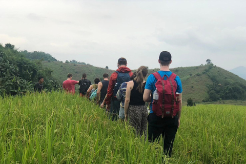 Chiang Rai: Jungle Adventure-Group Trekking & Bamboo Cooking