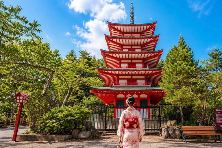 Mt Fuji 8 Spots Customizable Sightseeing Day Tour with Guide Mt Fuji 8 Spots Customizable Sightseeing Day Tour with Guide