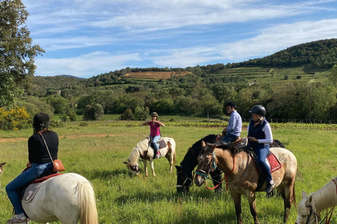 Grimaud: Horseback Riding & Wine Tasting in Maures Forest Horse back riding + wine tasting in the Maures Forest