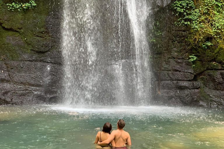 Ubud: Waterfalls, Sacred Monkey Forest & Rice Terraces Tour Private Half-Day Tour (5-6 Hours)